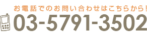 03-5791-3502